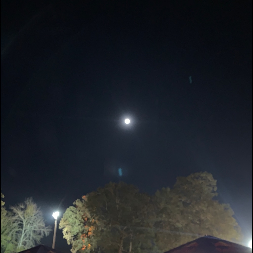 Meet your Posher, Linn